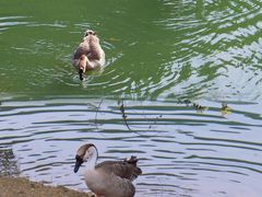 -广州白江湖森林公园