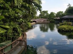 -河川生态园