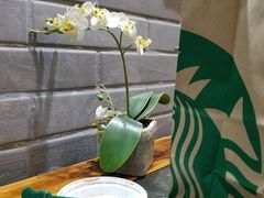 -星巴克臻选(北京富力家园店)