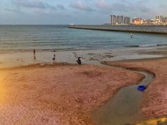 -望海观澜海景音乐餐吧(帆船基地店)