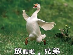 -金茂览秀城