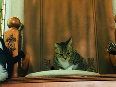 -逃脱反斗城沉浸剧情密室(北京路店)