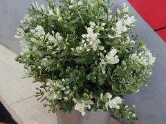 -刘一锅筋头巴脑(小北店)