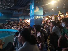 -石家庄海洋公园