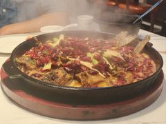 -老板恋上鱼(高新万达店)