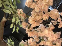 -城墙拐拐火锅(三峡广场黑金冠店)