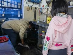-阿军排档·烧烤