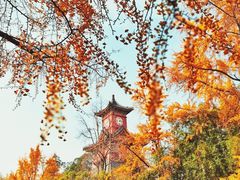 -四川大学(华西校区)