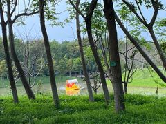 -上海海湾国家森林公园