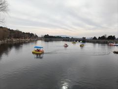 -泰山风景名胜区-虎山公园