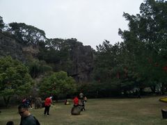 -金鸡山公园