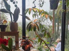 -自由生长植物工作室(深港花卉中心店)