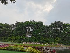 -广州长隆飞鸟乐园