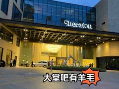 -上海嘉定喜来登酒店