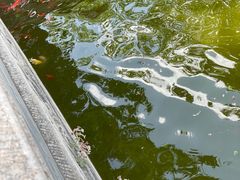 -大觉寺-停车场
