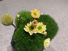 -南堂馆·新川菜(春熙路店)