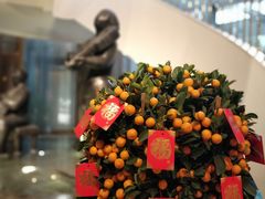 -东海朗廷酒店-唐阁T’ANG COURT 中餐厅