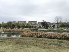 -两河城市森林公园