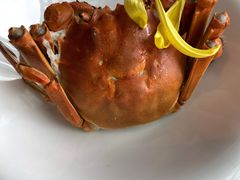 清蒸大闸蟹-蟹榭·本帮江浙菜·蟹宴(五角场合生汇商场店)