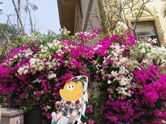 -中国科学院西双版纳热带植物园