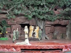 -长鹿旅游休博园