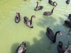 -无锡动物园·太湖欢乐园
