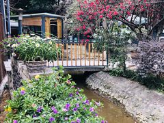 -凤来栖·净庭院·火锅(欧尚店)