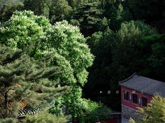 -潭柘寺景区