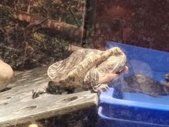 -多彩贵州城极地海洋世界