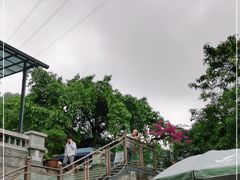 -老幺泉水鸡