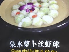 泉水萝卜丝虾球-蒙阴光棍鸡(新石中路店)