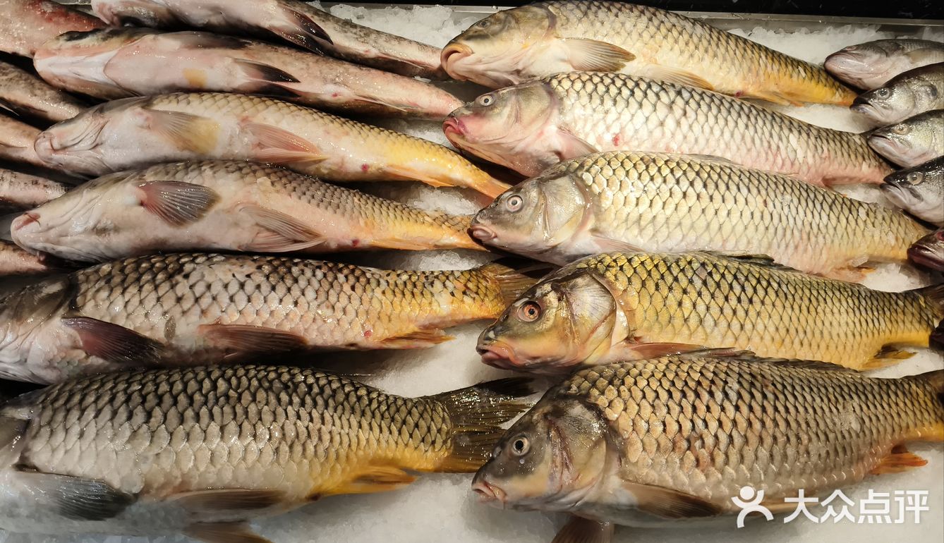 🐟哈尔滨吃鱼就来福成厚鱼馆，鲜到眉毛掉！