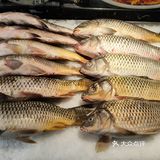 🐟哈尔滨吃鱼就来福成厚鱼馆，鲜到眉毛掉！