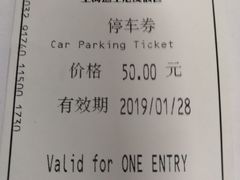-迪士尼乐园停车场