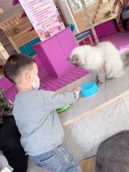 -萌宠亲子动物乐园(槐房万达店)