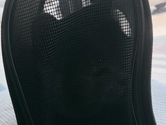 -芭比堂宠物医院·全科爱猫医院·仁德分院