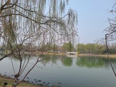 -河北省园博园