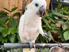 -南宫五洲植物乐园