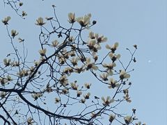 -宜家家居(高新商场店)