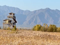 -野鸭湖国家湿地公园