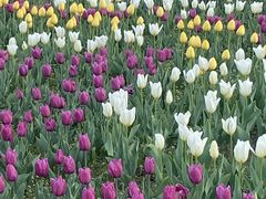 -长春公园(普阳街道)