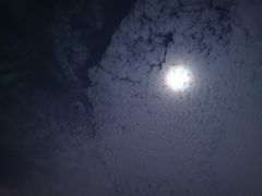 -顽啤熊·酒客酒馆(苏城夜景必选店)