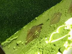 -21cake廿一客蛋糕