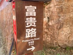 -仙岛湖旅游风景区