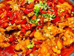 -美蛙四季(黄寺大街店)