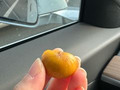 -金栗王(清扬路店)