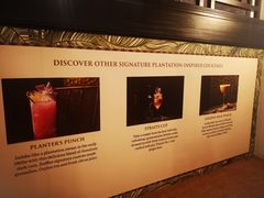 -Long Bar(莱佛士酒店)