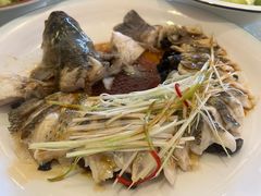 -博雅渔港·融合菜(维也纳国际大酒店)
