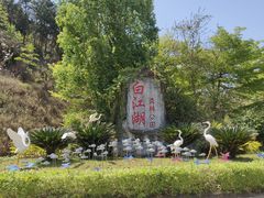 -广州白江湖森林公园