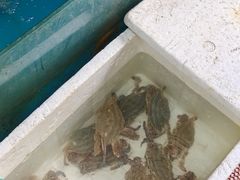 -柠静私家菜(石板巷店)